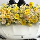 쌍둥이카써비스 이미지