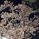 (주)서원약품 | 아양스포츠센터(아양아트센터) 수영장 🏊‍♂️ 추천? 비추천? 주차, 사물함 팁