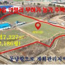 매물번호 : 1000-231태안읍 인평리 무허가농가주택1동면적7,223㎡(2,186평)매매가 3.3㎡당15만원 이미지