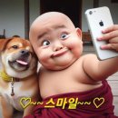 안면읍건강생활지원센터 이미지