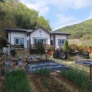 땅냄새공인중개사사무소 이미지