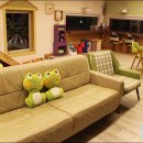 제주키즈펜션 개구리펜션 이미지