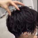 메모헤어 이미지