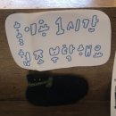호호다실 이미지