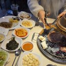 싹트는 날개 | 260308_경기도 안성 팜랜드 냉이캐기 체험