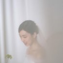 작가솔