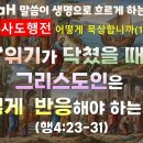 HagaH(222)_사도행전 묵상(16)_위기가 닥쳤을 때 그리스도인은 어떻게 반응해야 하는가?(행4:23-31) 이미지