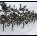 소성농장 이미지