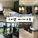 오추리야외운동기구 | [잠실 호캉스] 소피텔 앰배서더 매니피크룸 엑스트라베드·헬스장 내돈내산 후기