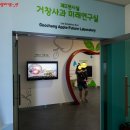 거창사과테마파크 전시실 이미지