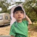 돌고래 오토 캠핑장 이미지