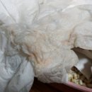 엘케이동물병원 이미지