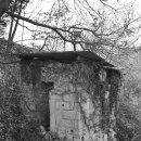 서주길(와룡면) 이미지