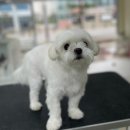 마음이네 멍발소 이미지