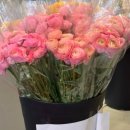부케 셀프생화부케 촬영부케생화부케 아산 로뎀농원 실바장미구입 셀프촬영부케만들기 웨딩촬영소품 후기