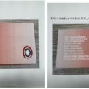 뉴비젼콘택트 이미지