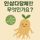 인삼이네 티스토리