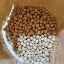 괴산클라스 | 괴산클라스 백태콩 먹어본 후기 : 고소하고 맛있는 콩자반 레시피