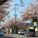 효돈동-3 이미지