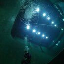 Bubble line 이미지