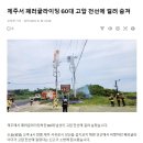 제주서 패러글라이딩중 고압전선에 감전 사망...GISA 이미지