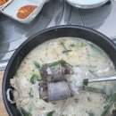 어진동세종소방서옆 | 세종 어진동 맛집 돼지국밥 진국 세종 국밥집 진국 후기