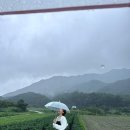 슈빌라움 네이버블로그