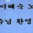 영스포렉스 이미지