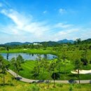 마에스트로 CC 이미지