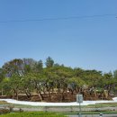 개화동로 이미지