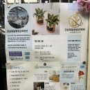 [목포] 로제끌레르 / 목포 공예 원데이클래스 체험 후기 / 전남제일평생교육원