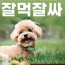 농업회사법인 (주)피오에스싸이언스 이미지