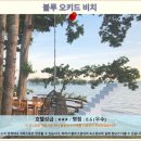 비치호텔 | 끄라비 블루 오키드 비치 호텔 후기: 인생 끄라비 여행 숙소 추천