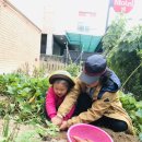 부평맑은내어린이집 이미지