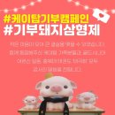 케이탑 이미지