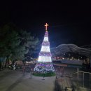 묵호역 | 묵호역 숙소 서진이네 후기, 여성전용 1인실이라 부담 적었던 곳