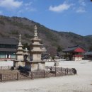 山川에서 티스토리