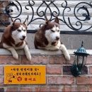 멍멍이집
