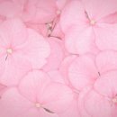 라잇나우 이미지