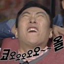 궁물성애자...♥가 즐겨찾기하는 쌀국수♥ 이미지