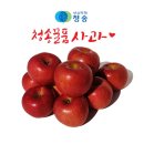 유애플 이미지