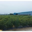 산해농장 이미지