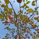 해암농장 이미지