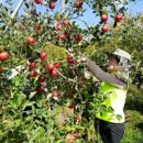 중앙산소 이미지