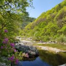 힐링스테이 우드밸리 이미지