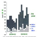 칼슘섭취와 영양권장량의 허구/채식의 뼈건강 이미지