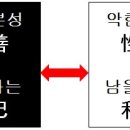 이타 국제신문
