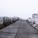 삼일목장 이미지