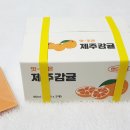 맛조은청과