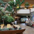 아프리카 박물관 이미지